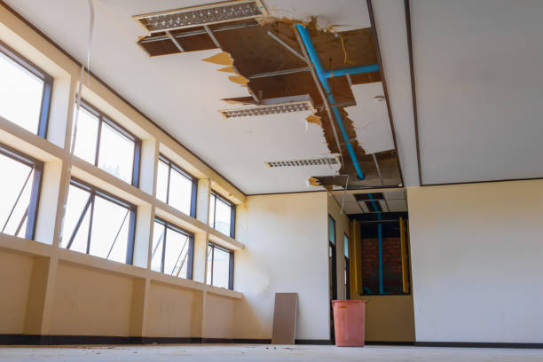 Best Carpet water damage restoration  in Hollywood, FL