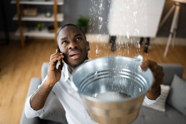 Best Fire Damage Restoration  in Hollywood, FL