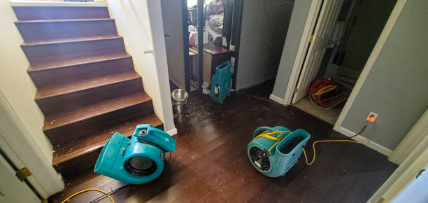 Best Flooded house restoration  in Hollywood, FL