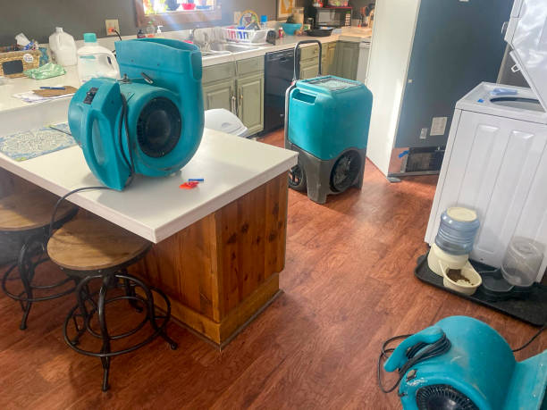 Best Emergency water damage restoration  in Hollywood, FL