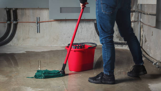Best Water damage restoration company  in Hollywood, FL