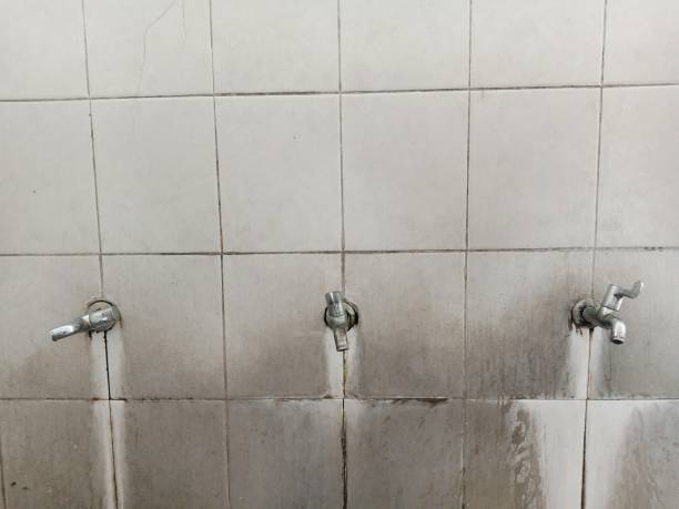 Best Local water damage restoration  in Hollywood, FL