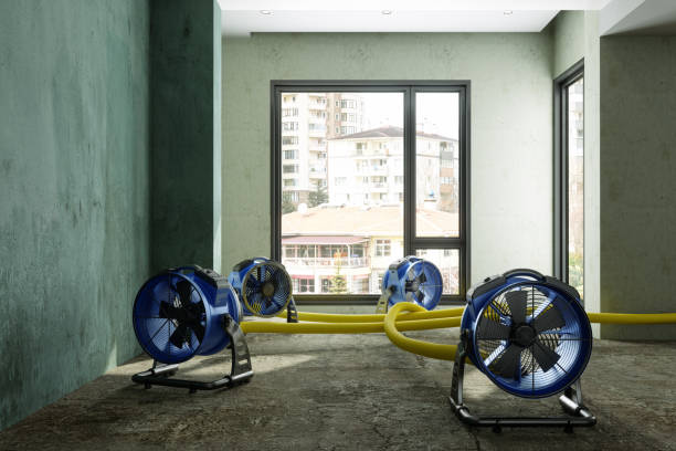 Best Residential water damage restoration  in Hollywood, FL